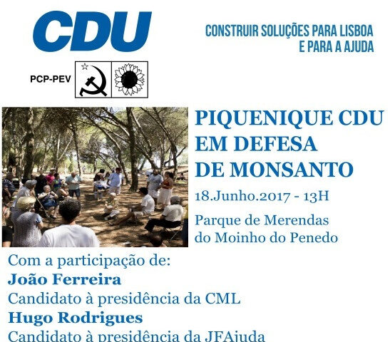 Cartaz piquenique