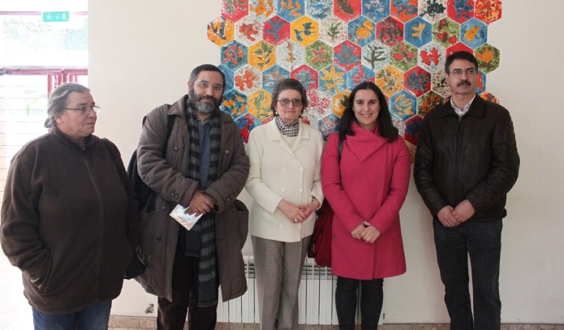 ajuda visita CMoura